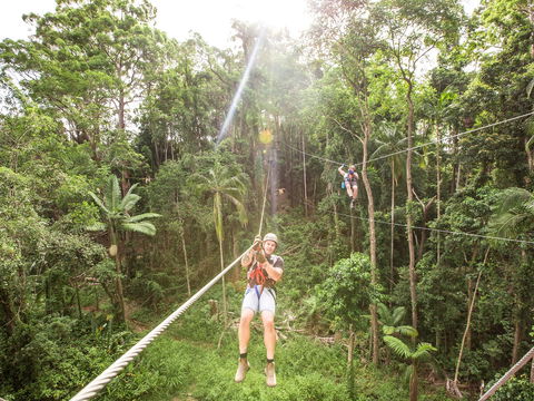 TreeTop Challenge - Sunshine Coast - Lightning Ridge Tourism 2