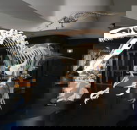 UNE Natural History Museum - Lightning Ridge Tourism