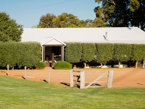Vasse Virgin - Lightning Ridge Tourism 1