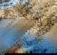 Wandandian Creek picnic area - Lightning Ridge Tourism