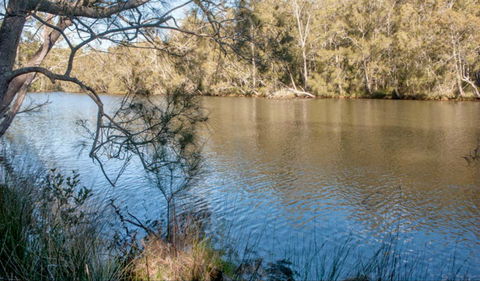 Wandandian Creek Picnic Area - Lightning Ridge Tourism 0