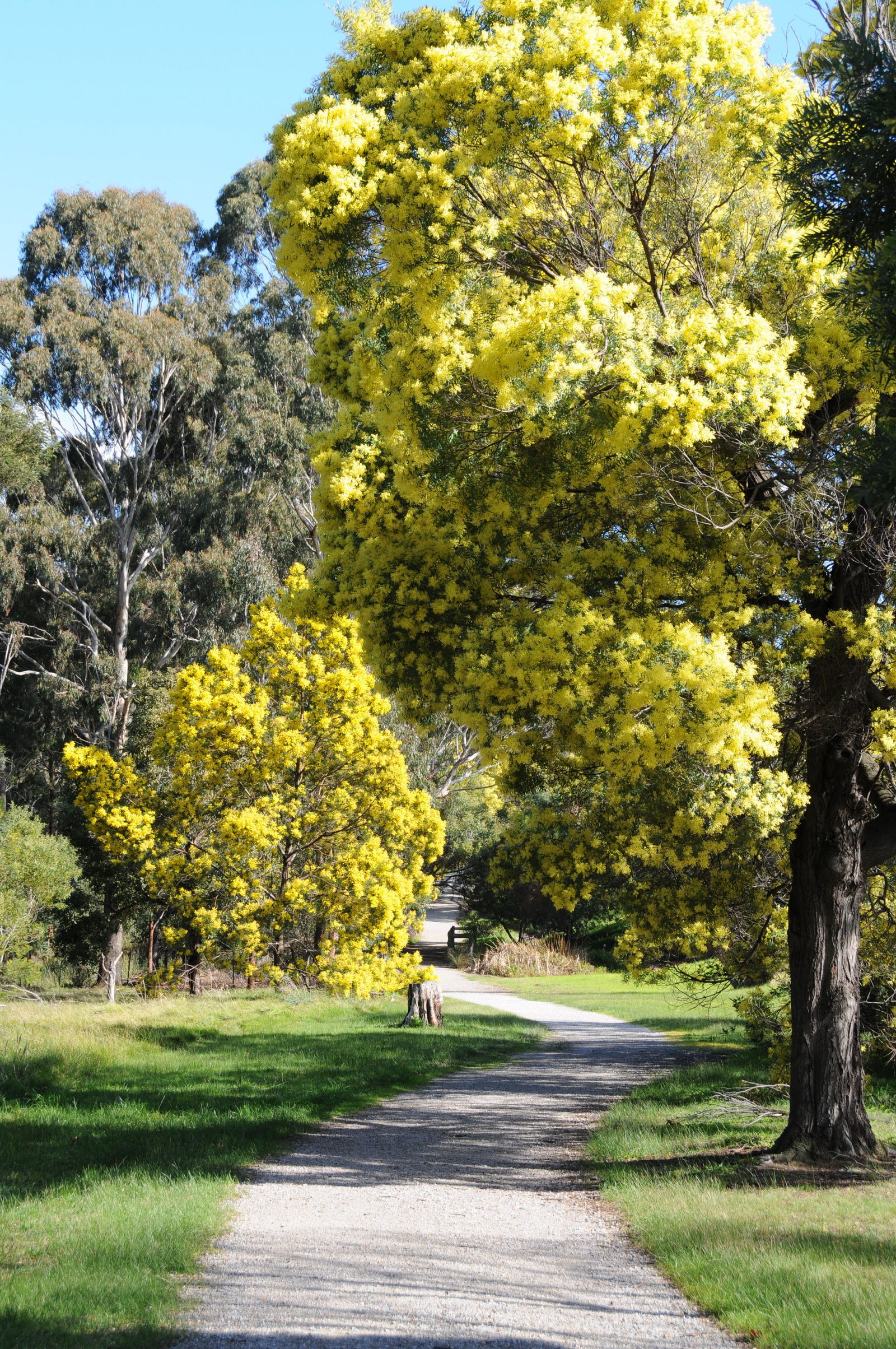 Lilydale VIC Lightning Ridge Tourism