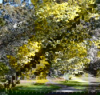Wattle Park - Lightning Ridge Tourism