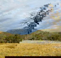 Weddin Mountains National Park - Lightning Ridge Tourism