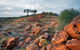 Western Ridge Walk - thumb 0