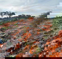 Western Ridge Walk - Lightning Ridge Tourism