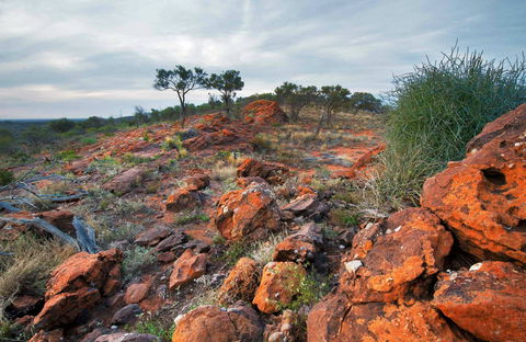Western Ridge Walk - Lightning Ridge Tourism 0