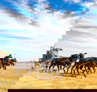 7 Day Outback Giants - Lightning Ridge Tourism