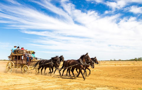 7 Day Outback Giants - Lightning Ridge Tourism 0