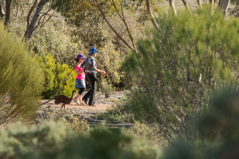 Australian Arid Lands Botanic Garden - Lightning Ridge Tourism 0