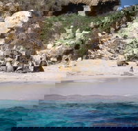 Australian Sea Lions - Lightning Ridge Tourism