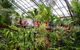 Australian Butterfly Sanctuary - thumb 2