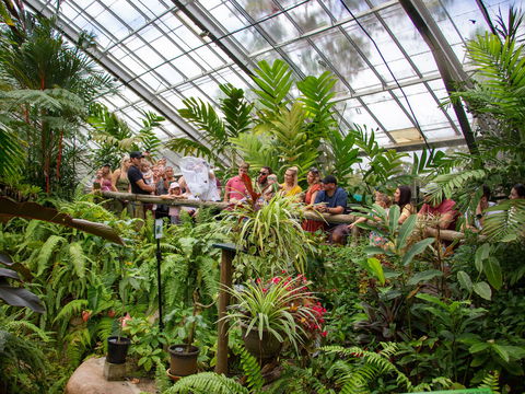 Australian Butterfly Sanctuary - Lightning Ridge Tourism 2