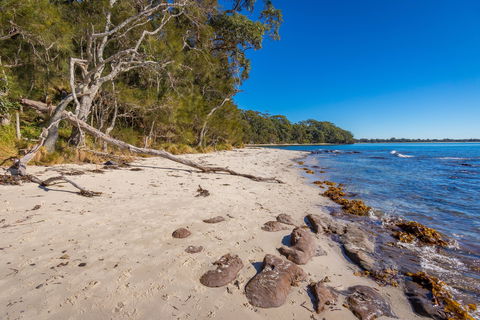 Barfleur Beach - Lightning Ridge Tourism 0