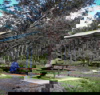 Barrington Tops State Forest - Lightning Ridge Tourism