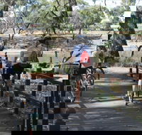 Bidgee Riverside Trail  - Hay Nature Walk - Lightning Ridge Tourism