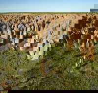 Borroloola - Lightning Ridge Tourism