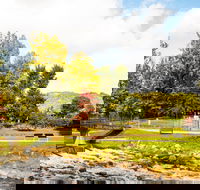 Bright - Lightning Ridge Tourism
