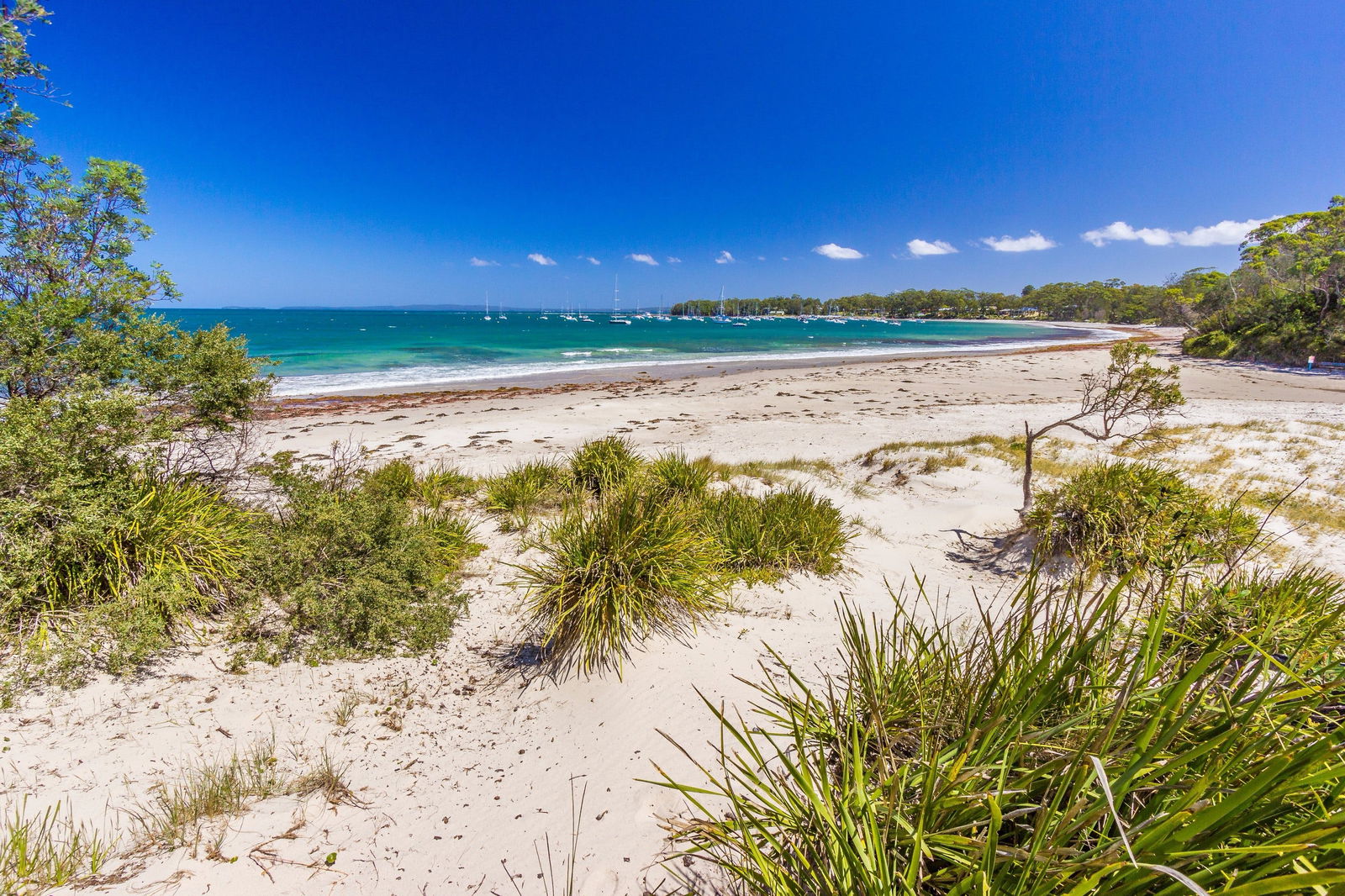 Callala Bay NSW Lightning Ridge Tourism