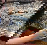 Canberra Reptile Zoo - Lightning Ridge Tourism