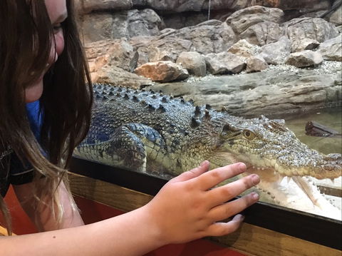 Canberra Reptile Zoo - Lightning Ridge Tourism 0