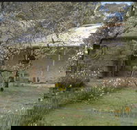 Castlemaine Diggings National Heritage Park - Lightning Ridge Tourism