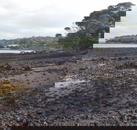 Churchill Island Marine National Park - Lightning Ridge Tourism