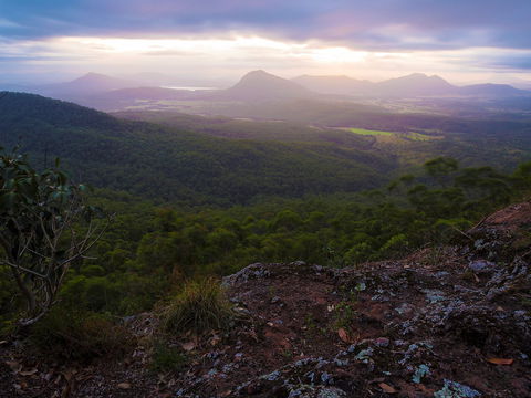 Cunninghams Gap And Spicers Gap, Main Range National Park - Lightning Ridge Tourism 0