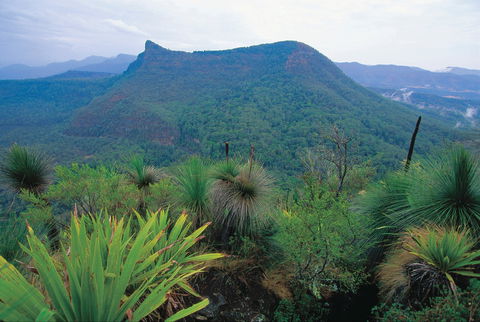 Cunninghams Gap And Spicers Gap, Main Range National Park - Lightning Ridge Tourism 1