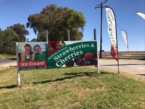 Fairfield Orchard - Lightning Ridge Tourism 0