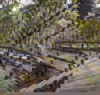 Governor Summit Corrunbral Borawah Walking Track - Lightning Ridge Tourism