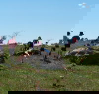 Jim Salmon  Wetland Education Site - Lightning Ridge Tourism