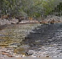 Lake Rowallan - Lightning Ridge Tourism