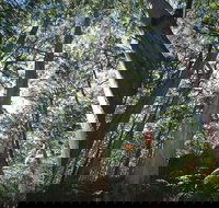 Leeuwin-Naturaliste National Park - Leeuwin - Lightning Ridge Tourism