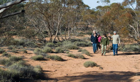 Mallee Stop Walking Track - Lightning Ridge Tourism 0