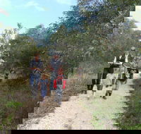 Meningie Lions Walking Trail - Lightning Ridge Tourism