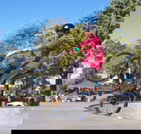 Millicent Skatepark - Lightning Ridge Tourism