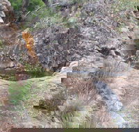 Mill-bullah Walking Track - Lightning Ridge Tourism