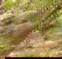 Mount Carnarvon Walking Track - Lightning Ridge Tourism