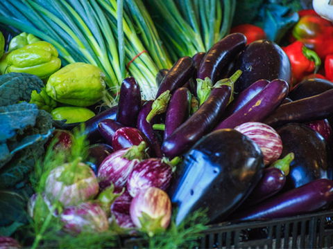 Murwillumbah Farmers' Market - Lightning Ridge Tourism 1