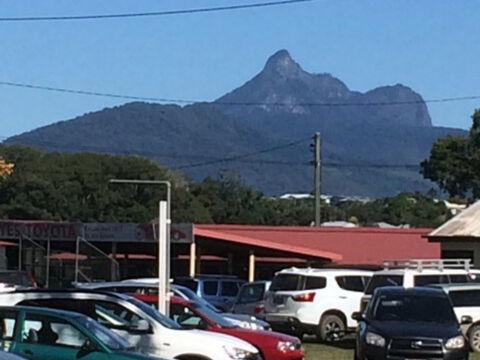 Murwillumbah Farmers' Market - Lightning Ridge Tourism 2