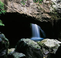 Natural Bridge Circuit Springbrook National Park - Lightning Ridge Tourism