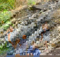 Queens Park Waterfall - Lightning Ridge Tourism