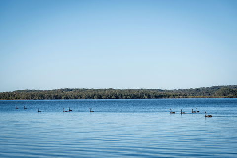 Queens Lake Picnic Area - Lightning Ridge Tourism 1