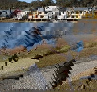Sculpture Trail at Lake Crackenback Resort and Spa - Lightning Ridge Tourism