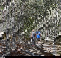 Six Mile Creek Bluff Lookout and Little White Rock Trails - Lightning Ridge Tourism