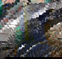 Skirmish Sunshine Coast Outdoor Paintball - Lightning Ridge Tourism