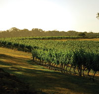 The South West Nature and Wine Drive - Lightning Ridge Tourism