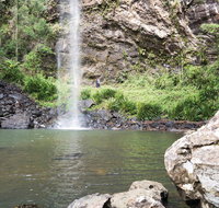 Twin Falls Circuit Springbrook National Park - Lightning Ridge Tourism