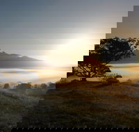 Wollumbin-Mount Warning National Park - Lightning Ridge Tourism